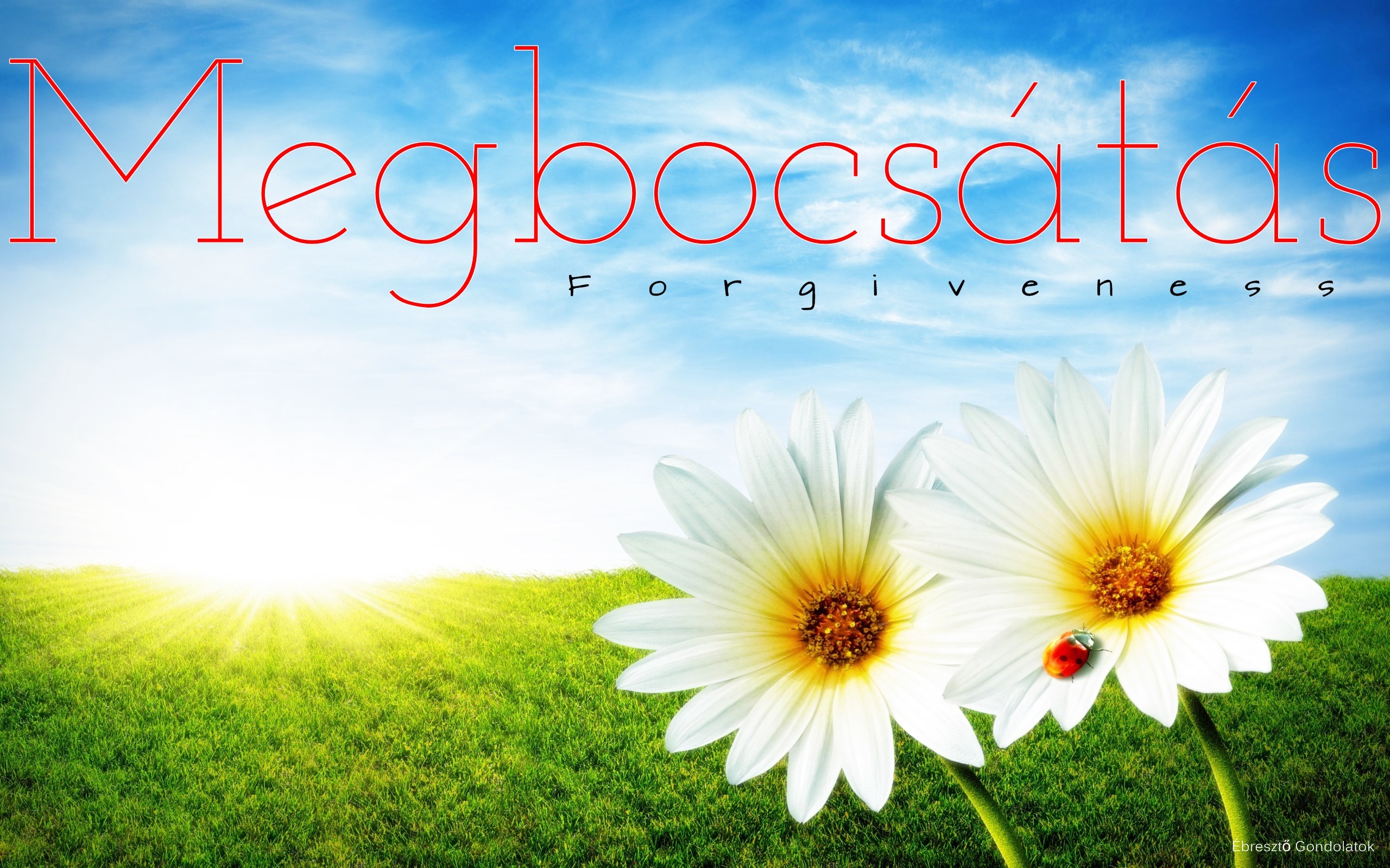 megbocsatas01.jpg