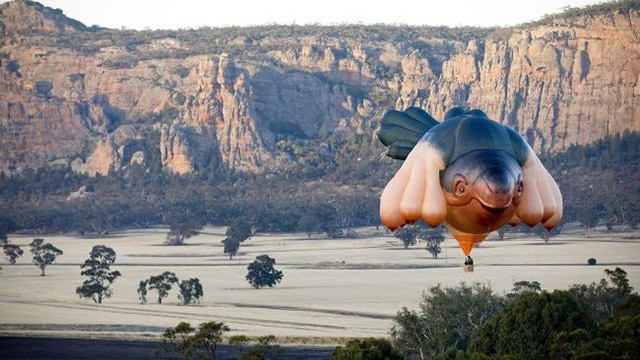 skywhale-tizcsocsu_teknos_02.jpg