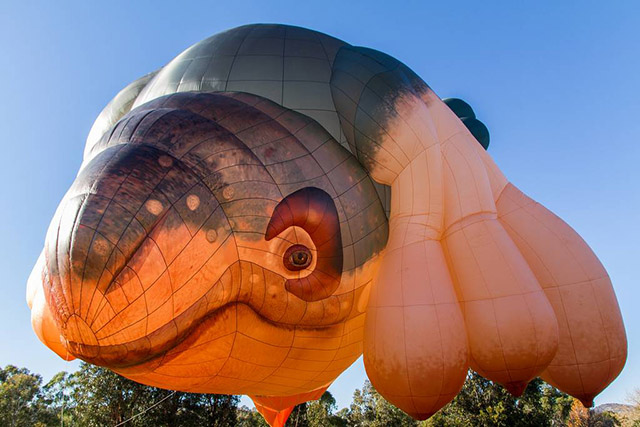 skywhale-tizcsocsu_teknos_08.jpg