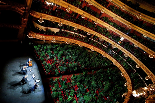 Növényeknek tartott koncerttel nyitott újra a barcelonai opera