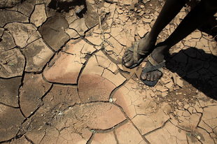 Végéhez közeledik a COP21