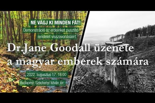 "Védjétek meg az értékes erdeiteket” – Jane Goodall videóban üzent a magyaroknak
