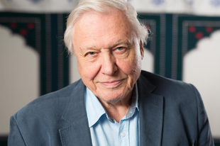 Klímaváltozás David Attenborough, a világ egyik legismertebb természettudósa szerint