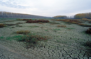 tisza_foto_ruval_wwf.jpeg