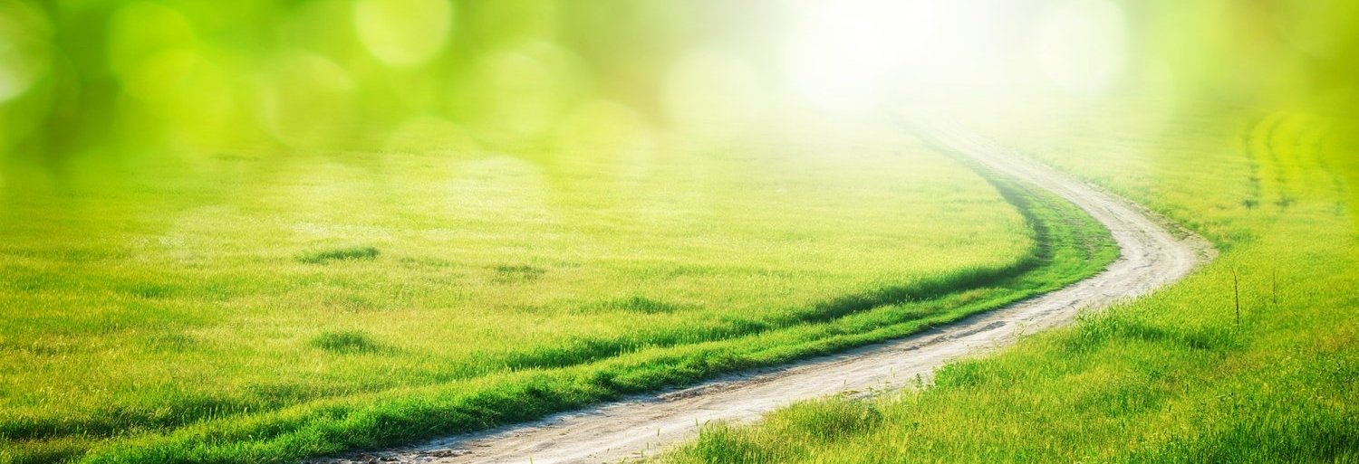 cropped-green-path.jpg