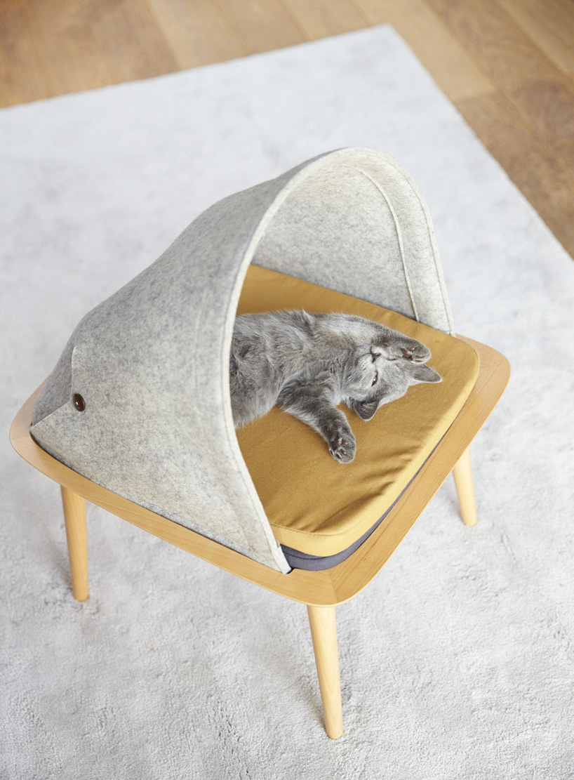 meyou-paris-cat-furniture-designboom-14.jpg