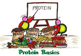 protein21_3.jpg