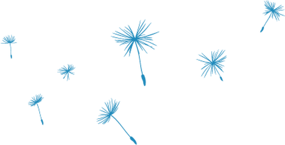 dandelion_magok.png