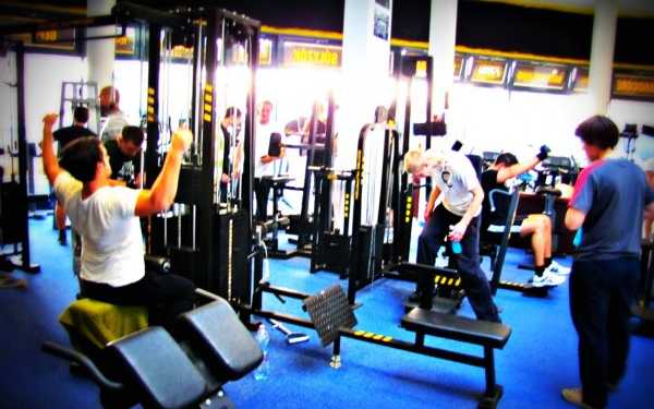 bodybuilder gym.JPG