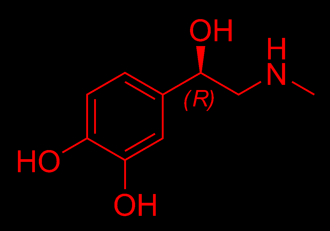 Adrenaline_chemical_structure.jpg
