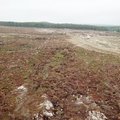 Száz hektár erdőt irtottak ki a Northvolt svéd akkumulátor gyára miatt