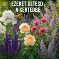 7 illatos növény,ezeket ültesd  a kertedbe