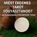 Miért Érdemes Tarót Fogyasztanod? Az Évszázados Gyógynövény Titkai
