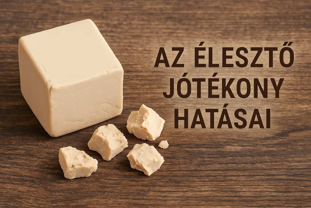 Az élesztő jótékony hatásai – Természetes csodaszer a szervezet számára