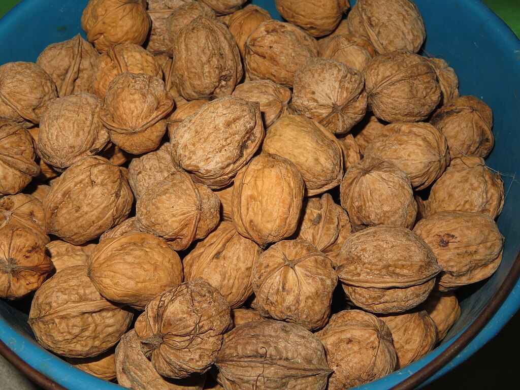 A dió  tudományosan igazolt egészségügyi hatása