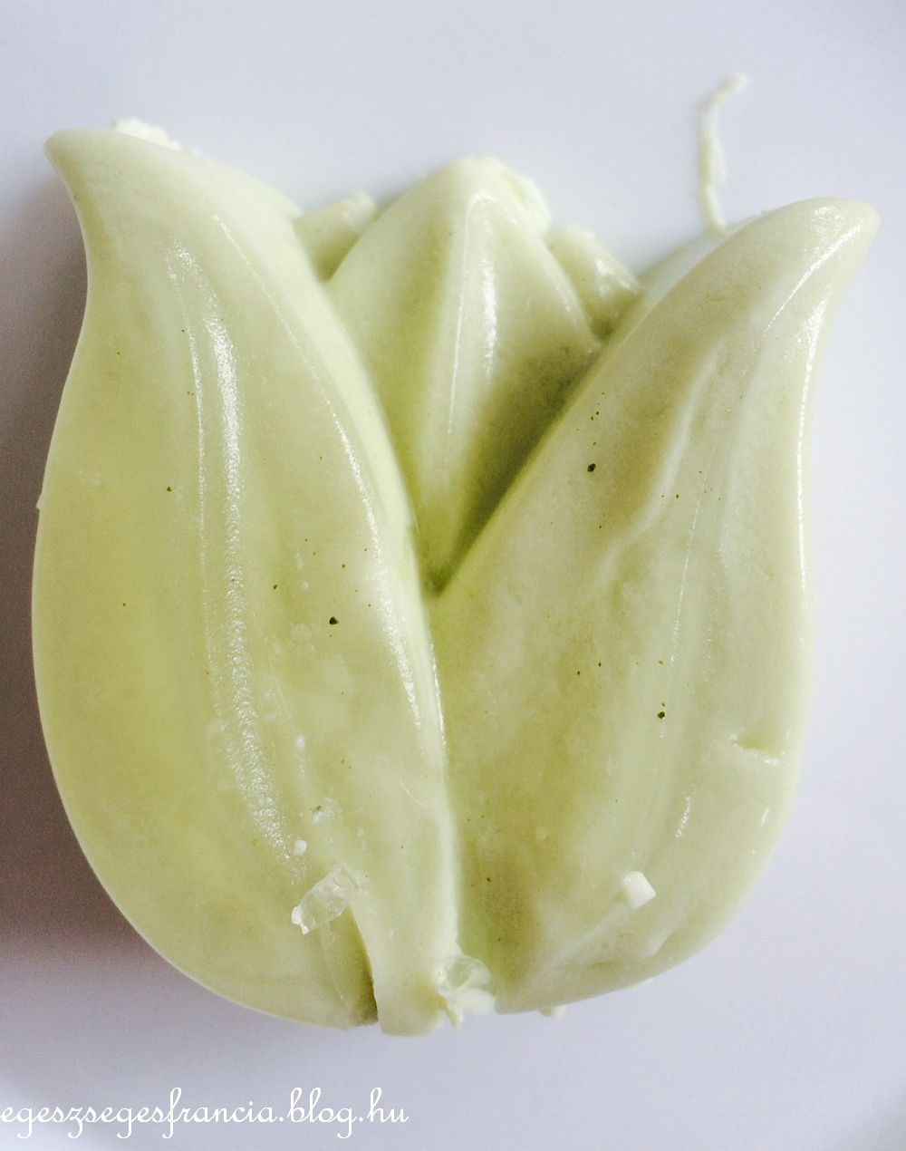 matcha_panna_cotta_1.jpg