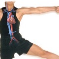 A mozgásszegény életmód, WHO Szív- és érrendszeri megbetegedések rizikófaktorai 3. rész