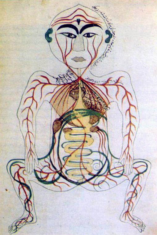 17th_century_Persian_digestive_system.jpg