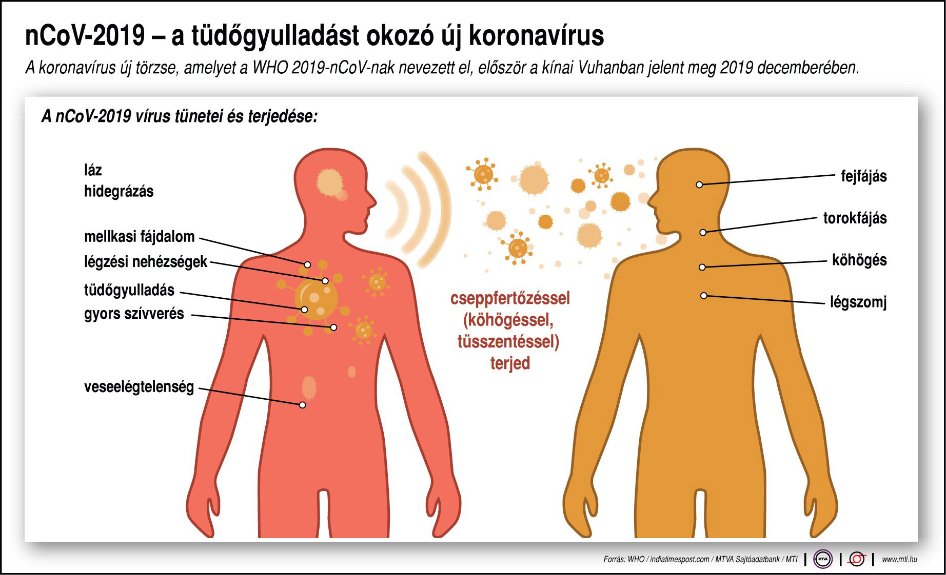 koronavirus-tudogyulladas.jpg