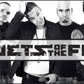 Poets Of The Fall:The Poet And The Muse