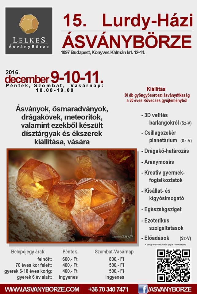 lurdy_asvanyborze_2016_12_9_11.jpg