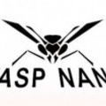 Mini dl: Wasp nano