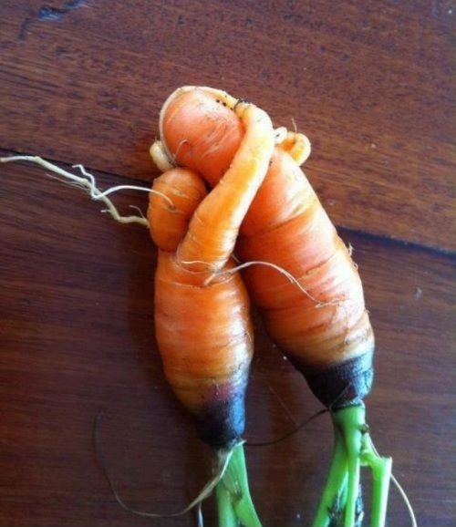 carrot-love.jpg