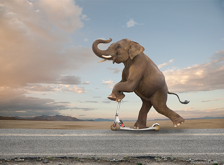 elephant-on-razor-scooter.jpg