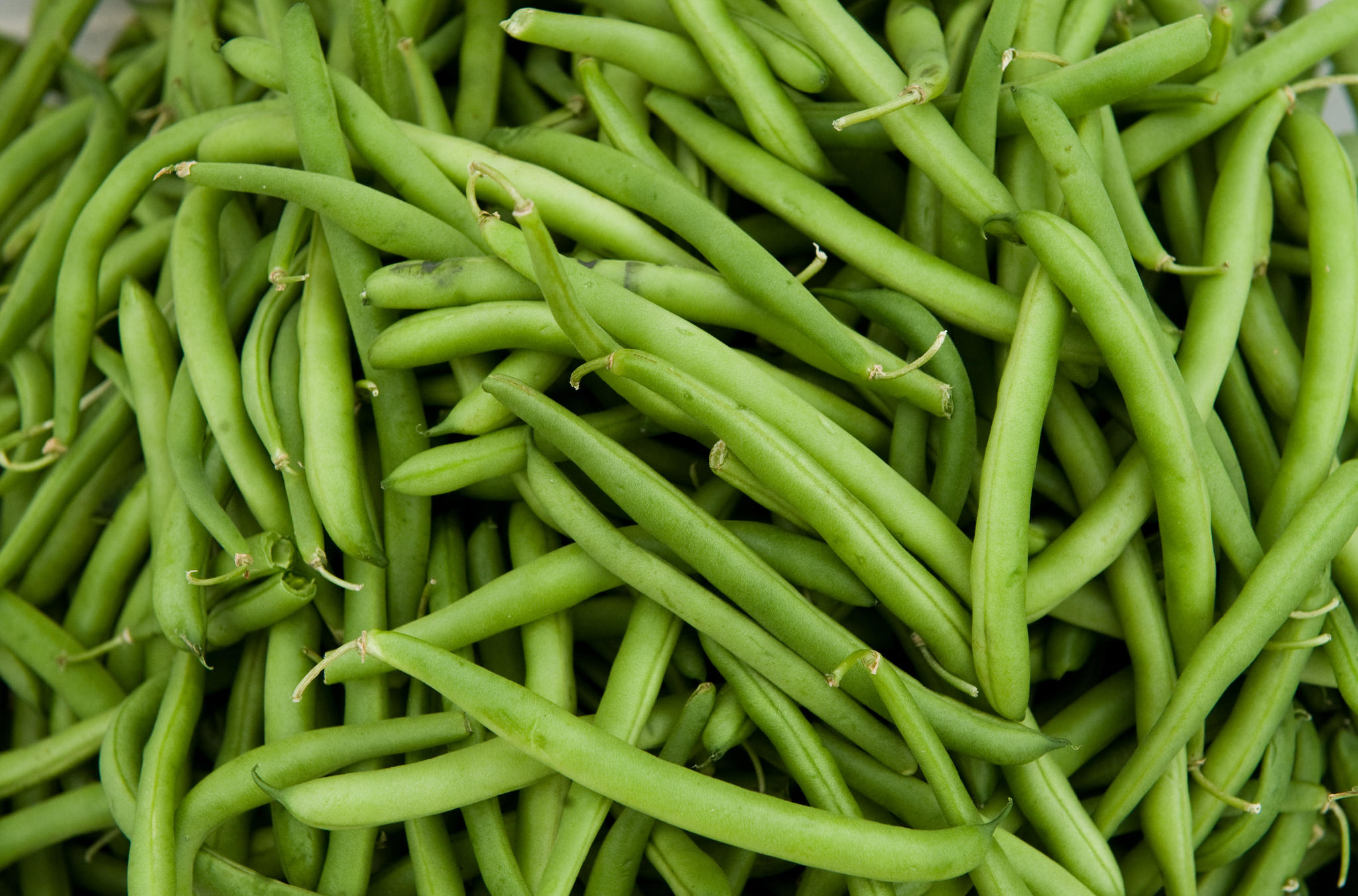 green_beans.jpg