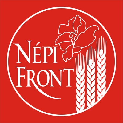 nepifrontlogo.jpg