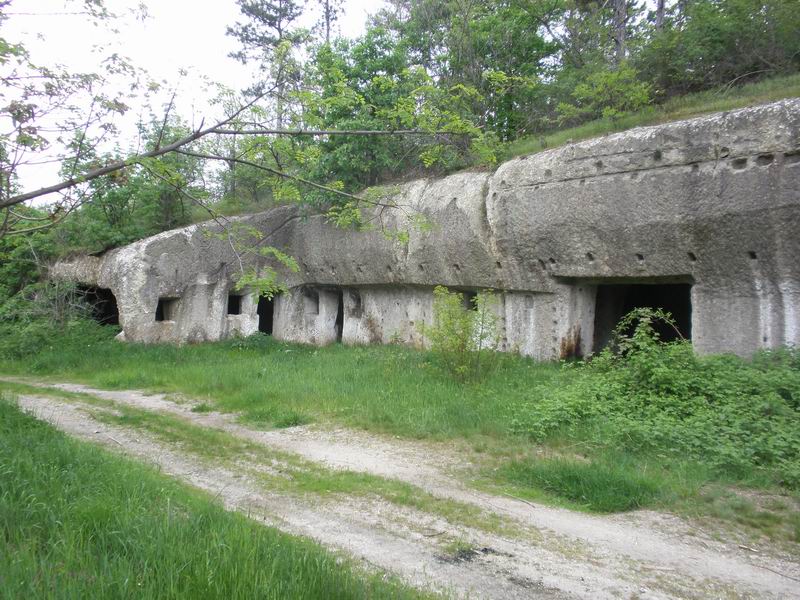 hodály.jpg