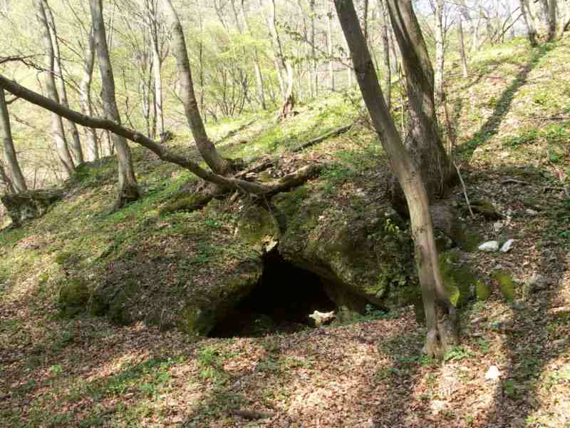 photo37.jpg