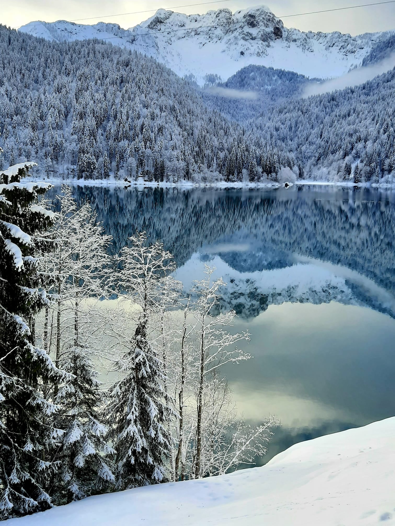 laghi_di_fusine_anna_pina_vicini.jpg