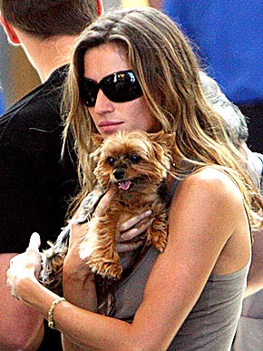 gisele-bundchen-yorkie.jpg