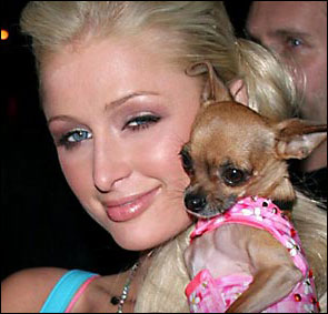 parishilton-tinkerbell.jpg