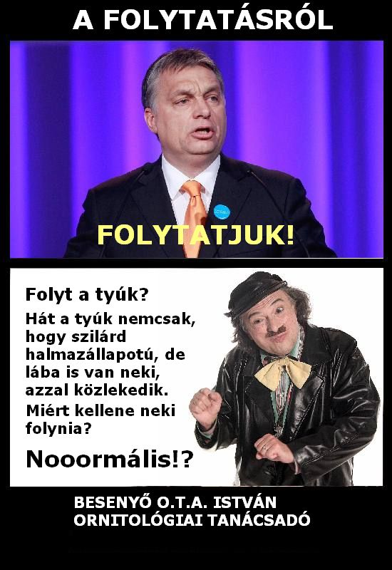 nooormalis_folyt-a-tyuk2.jpg