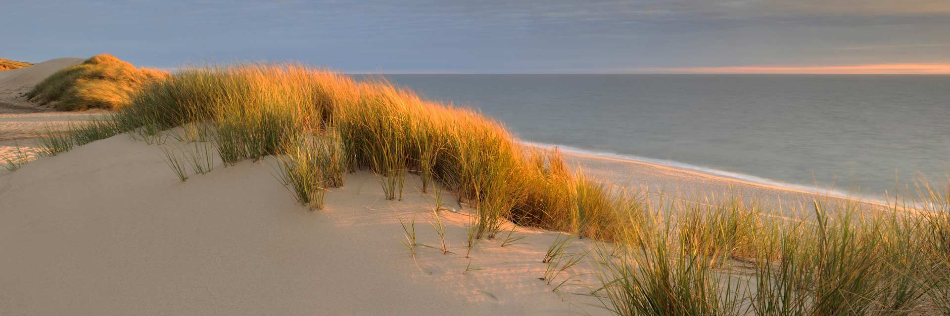 sylt-dune-nordsee-leinwandbild-arcy.jpg