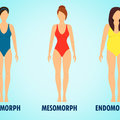 Testalkat típusok: ektomorf, mezomorf, endomorf