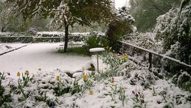 Áprilisi hó - Snow in April, Hungary