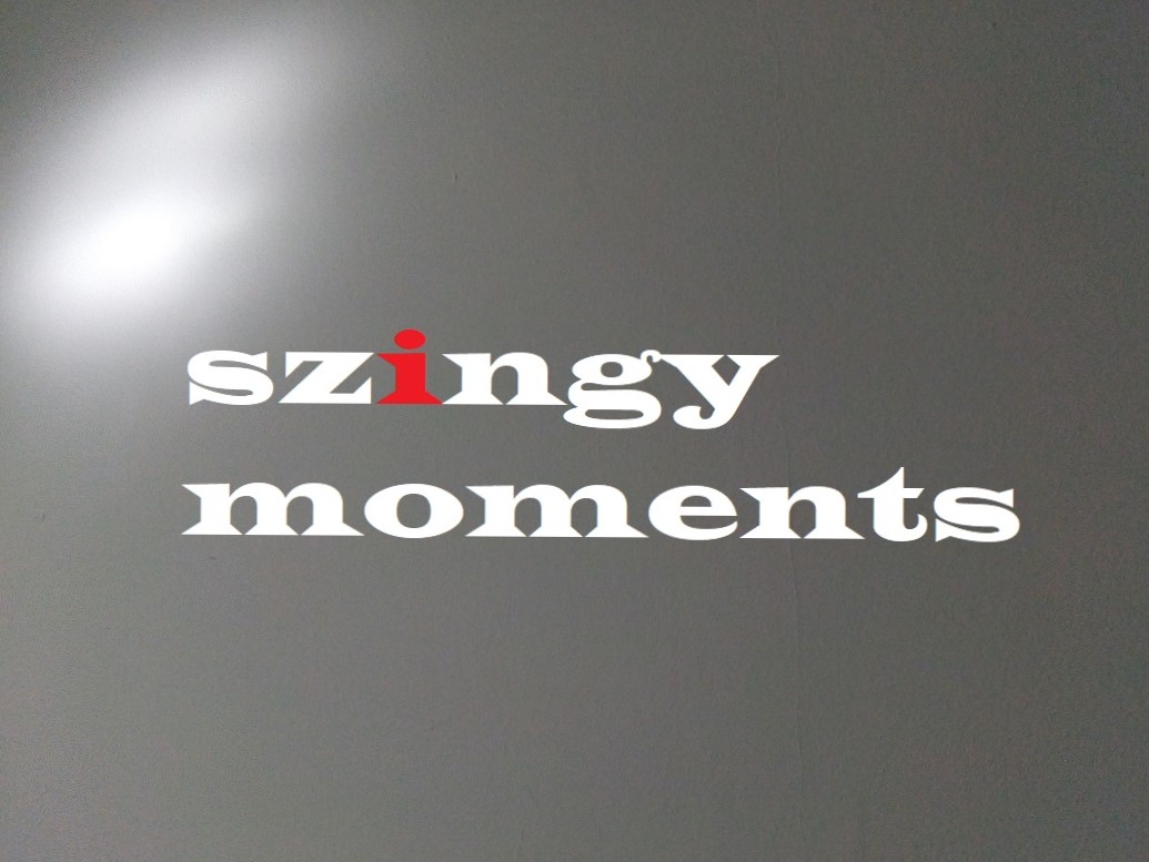 nemeth_gyorgy_szingy_moments.jpg
