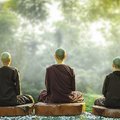 A meditáció gyógyító ereje - 2. alkalom
