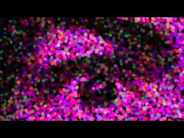 Holy Roller - Hollow