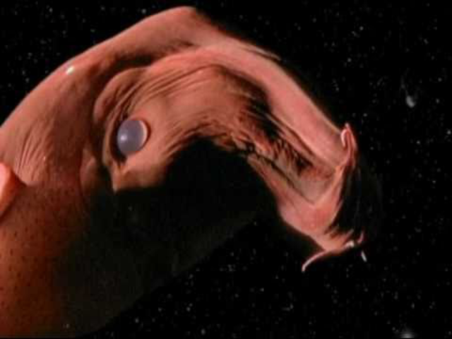 Grinderman - Evil