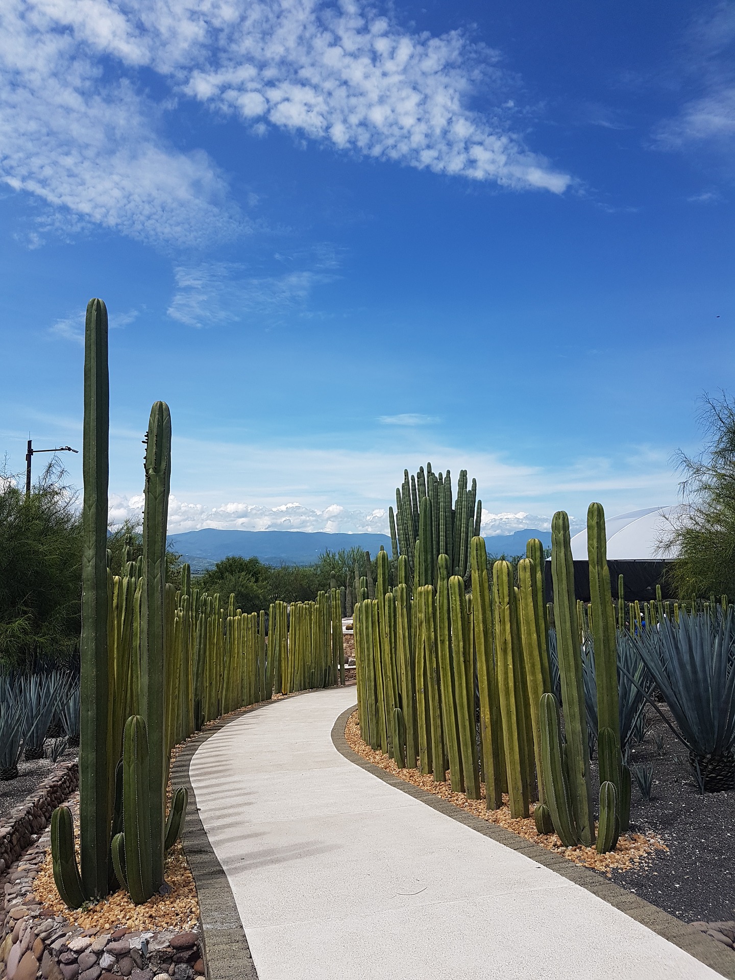 gardens-mexico-2073360_1920.jpg