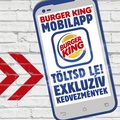 6. Burger King - Debrecen (hu/eng)