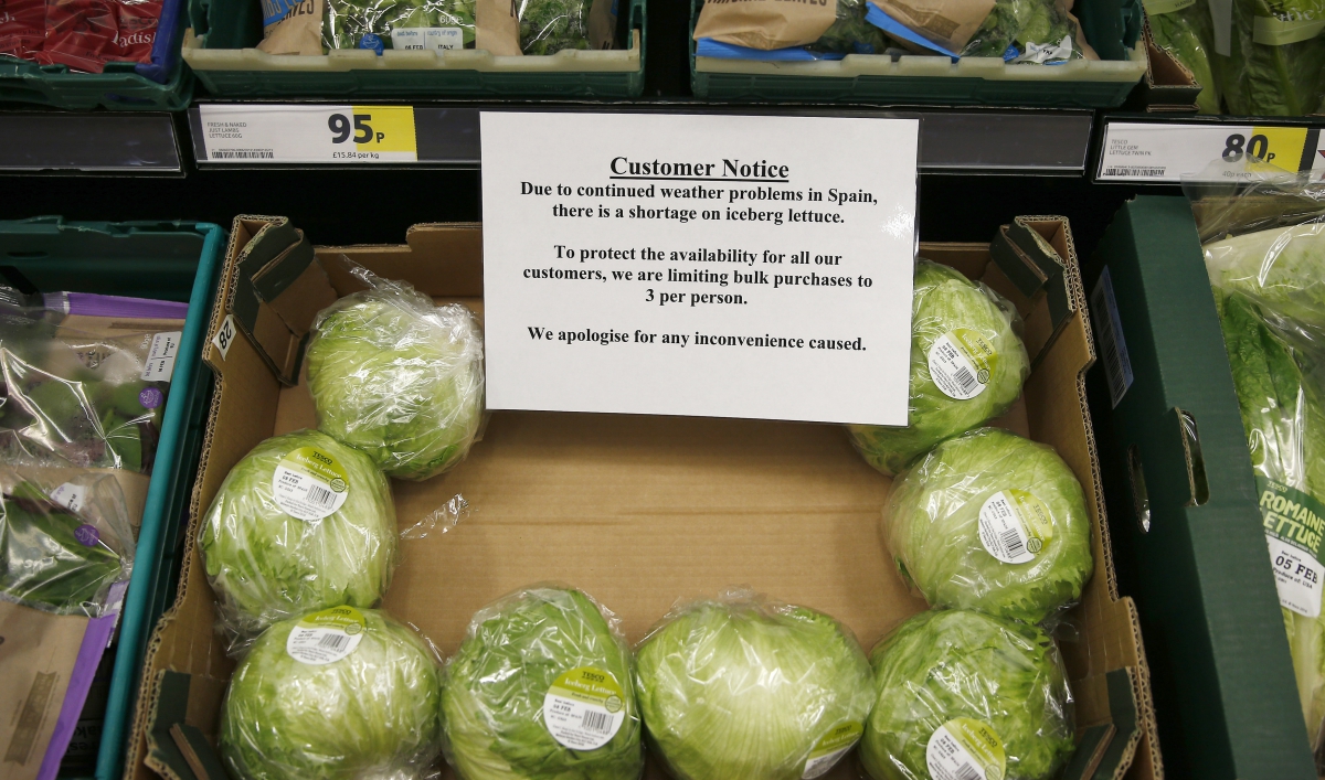 lettuce_shortage_uk.jpg