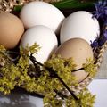 Így fehérítsd ki a barna héjú tojást!