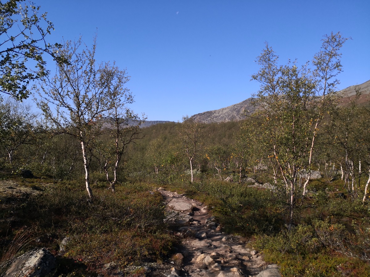 kungsleden_trail_kiralyok_utja_utinaplo_kaitumjaure_teusajaure_vakkotavare_10.jpg