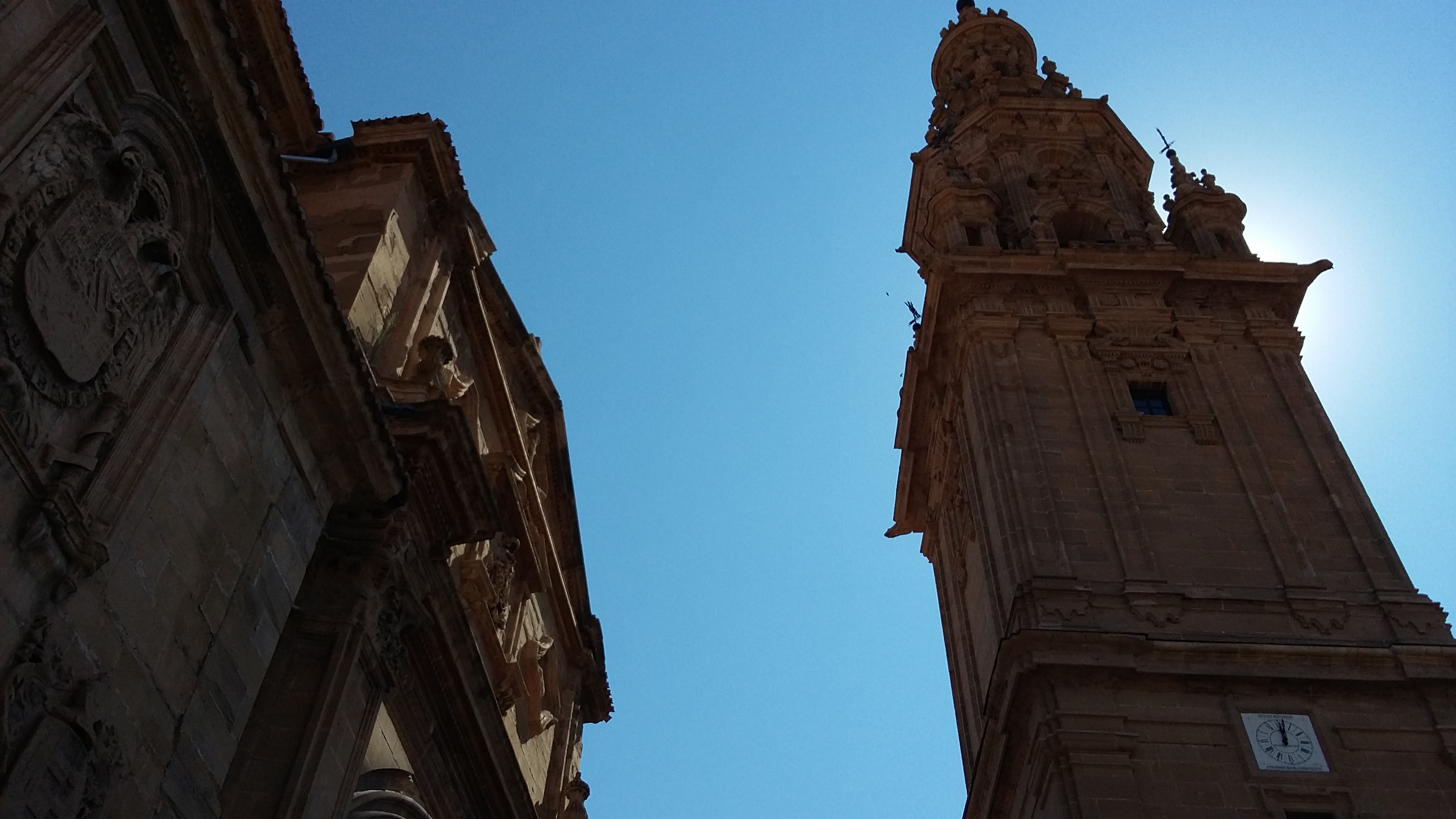 Catedral de Santa Domingo de la Calzada