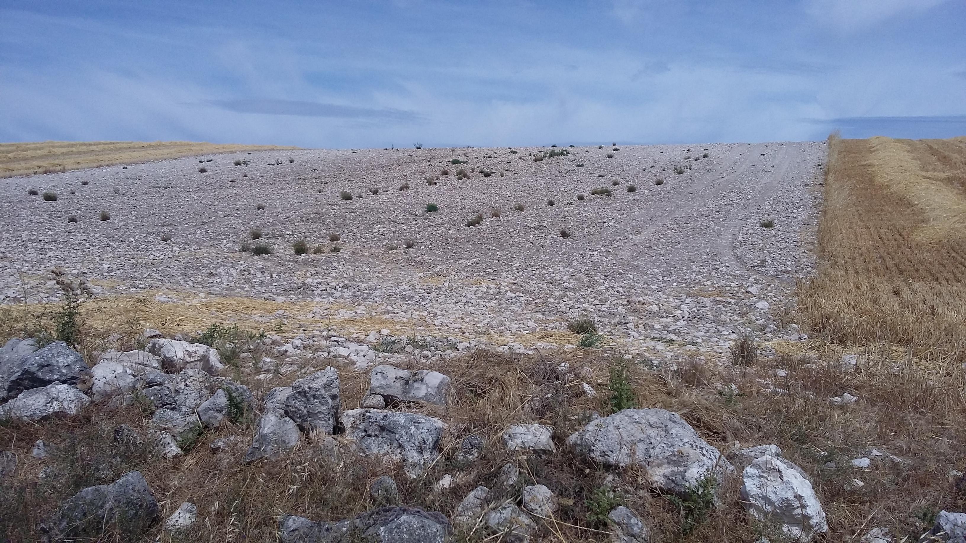 Hornillos del Camino felé